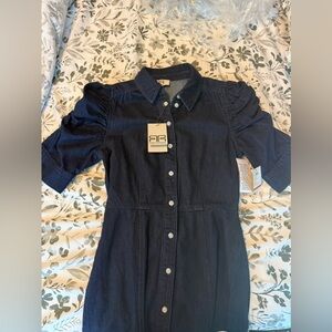 Robert Rodriguez Denim Mini Dress.